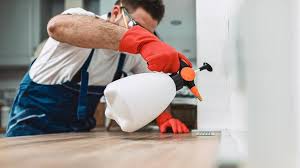 Best Real Estate Pest Inspections  in , UT